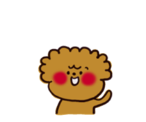 Every day, toy poodle sticker #11303934