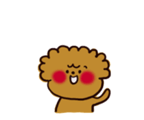 Every day, toy poodle sticker #11303934