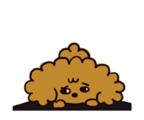 Every day, toy poodle sticker #11303946