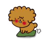 Every day, toy poodle sticker #11303956
