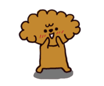 Every day, toy poodle sticker #11303958