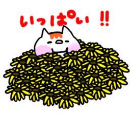 FU Fascinating cat sticker #11305795