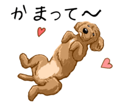Buiyon : a lovely toy poodle sticker #11305886