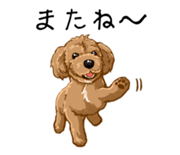 Buiyon : a lovely toy poodle sticker #11305887