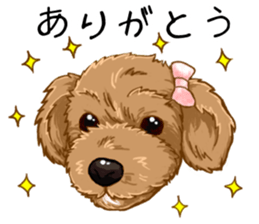 Buiyon : a lovely toy poodle sticker #11305889