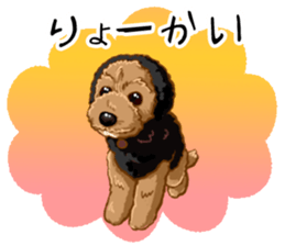 Buiyon : a lovely toy poodle sticker #11305891