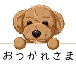 Buiyon : a lovely toy poodle sticker #11305892