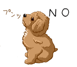 Buiyon : a lovely toy poodle sticker #11305894