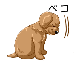 Buiyon : a lovely toy poodle sticker #11305895