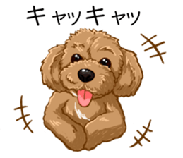 Buiyon : a lovely toy poodle sticker #11305896