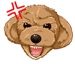 Buiyon : a lovely toy poodle sticker #11305897