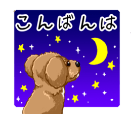 Buiyon : a lovely toy poodle sticker #11305902