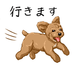 Buiyon : a lovely toy poodle sticker #11305903