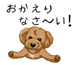 Buiyon : a lovely toy poodle sticker #11305907