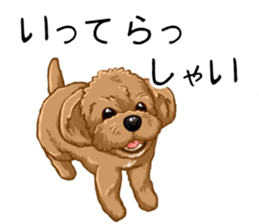 Buiyon : a lovely toy poodle sticker #11305908