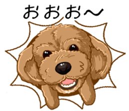 Buiyon : a lovely toy poodle sticker #11305912