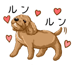 Buiyon : a lovely toy poodle sticker #11305914