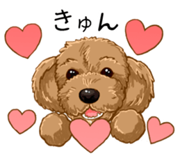 Buiyon : a lovely toy poodle sticker #11305915