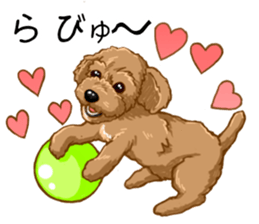 Buiyon : a lovely toy poodle sticker #11305916