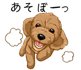Buiyon : a lovely toy poodle sticker #11305918