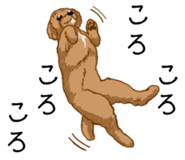 Buiyon : a lovely toy poodle sticker #11305919