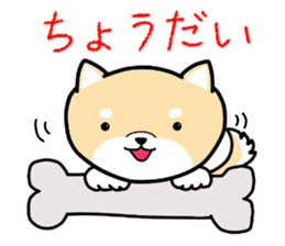 Daily life conversation oh Kottyan sticker #11310360