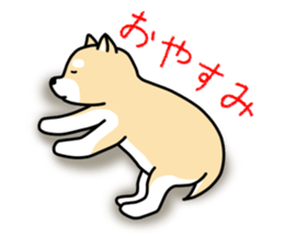 Daily life conversation oh Kottyan sticker #11310375