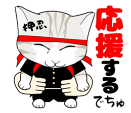 A Kitten 2 sticker #11311896