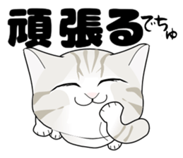 A Kitten 2 sticker #11311897
