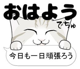 A Kitten 2 sticker #11311899