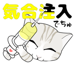 A Kitten 2 sticker #11311901