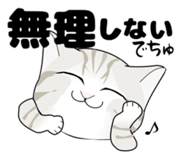 A Kitten 2 sticker #11311902