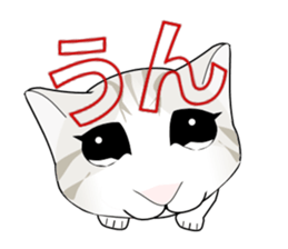 A Kitten 2 sticker #11311915