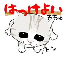A Kitten 2 sticker #11311921