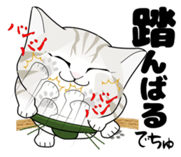 A Kitten 2 sticker #11311922