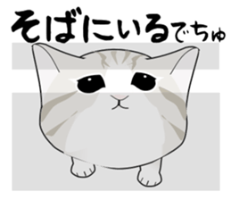 A Kitten 2 sticker #11311927