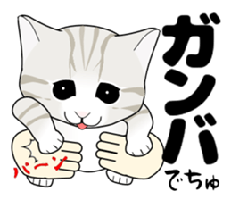 A Kitten 2 sticker #11311930