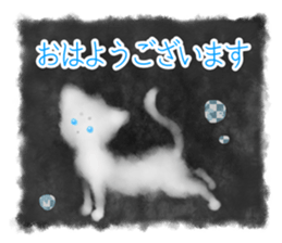 Sumi white cat sticker #11312777
