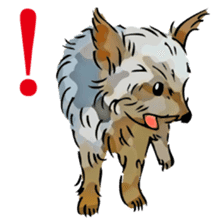 Yorkshire Terrier and Shih Tzu sticker #11313379