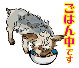 Yorkshire Terrier and Shih Tzu sticker #11313381