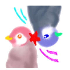 KOUTEI P&HITEI P