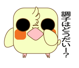 kadomaru(cockatiel) sticker #11316721