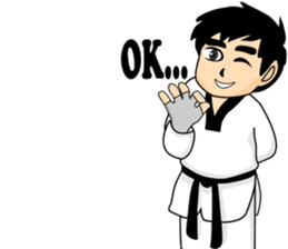 taekwondo boy 1 sticker #11317138