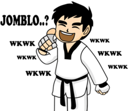 taekwondo boy 1 sticker #11317140