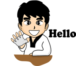 taekwondo boy 1 sticker #11317144