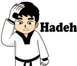 taekwondo boy 1 sticker #11317167