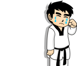 taekwondo boy 1 sticker #11317174
