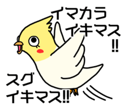 Talkative parakeet sticker #11317282