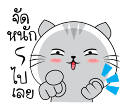 Mr. cat 2 (TH) sticker #11317644