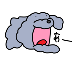 toy poodle moco sticker #11318103